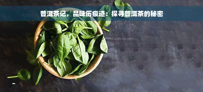 普洱茶记，品味历痕迹：探寻普洱茶的秘密