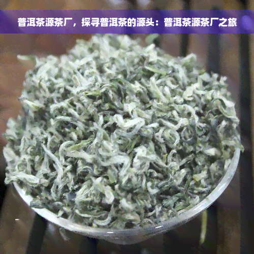 普洱茶源茶厂，探寻普洱茶的源头：普洱茶源茶厂之旅