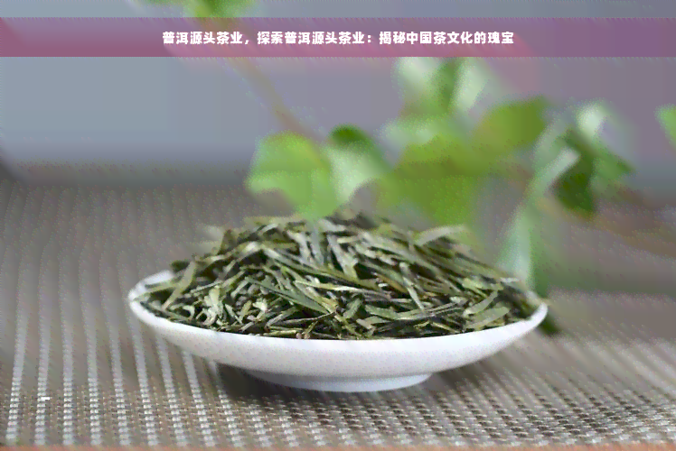 普洱源头茶业，探索普洱源头茶业：揭秘中国茶文化的瑰宝