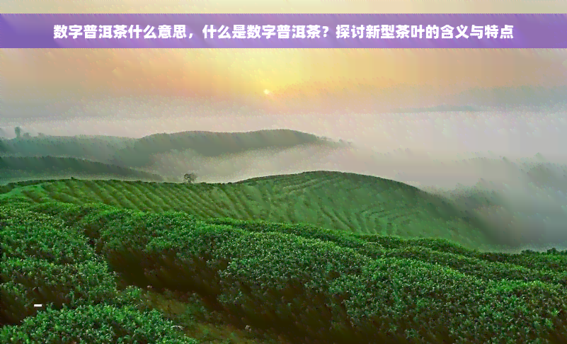 数字普洱茶什么意思，什么是数字普洱茶？探讨新型茶叶的含义与特点