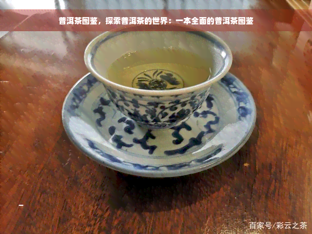 普洱茶图鉴，探索普洱茶的世界：一本全面的普洱茶图鉴