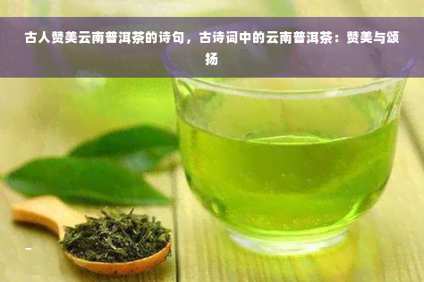 古人赞美云南普洱茶的诗句，古诗词中的云南普洱茶：赞美与颂扬