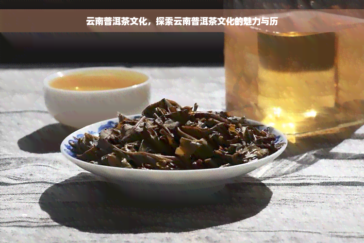 云南普洱茶文化，探索云南普洱茶文化的魅力与历