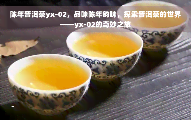 陈年普洱茶yx-02，品味陈年韵味，探索普洱茶的世界——yx-02的奇妙之旅