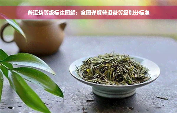 普洱茶等级标注图解：全图详解普洱茶等级划分标准