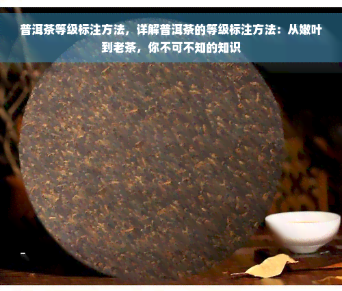 普洱茶等级标注方法，详解普洱茶的等级标注方法：从嫩叶到老茶，你不可不知的知识