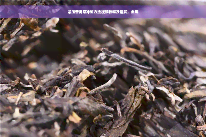 紧压普洱茶冲泡方法视频教程及讲解，全集