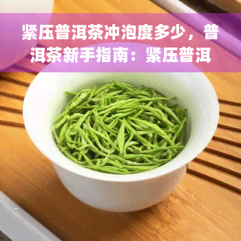 紧压普洱茶冲泡度多少，普洱茶新手指南：紧压普洱茶的冲泡度是多少？