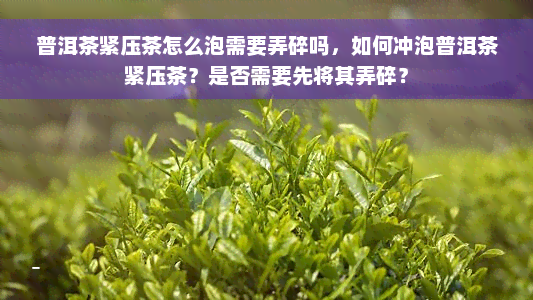 普洱茶紧压茶怎么泡需要弄碎吗，如何冲泡普洱茶紧压茶？是否需要先将其弄碎？