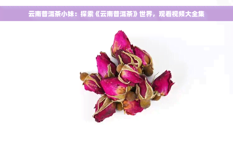 云南普洱茶小妹：探索《云南普洱茶》世界，观看视频大全集