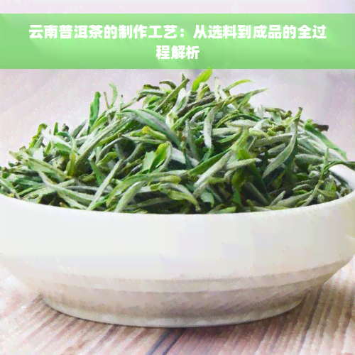 云南普洱茶的制作工艺：从选料到成品的全过程解析