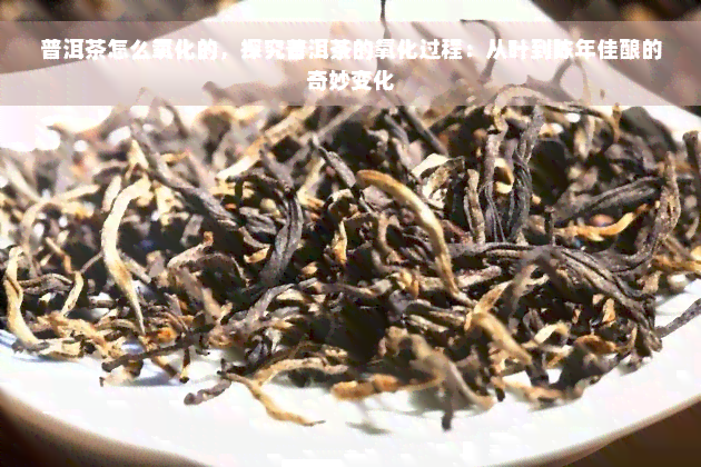 普洱茶怎么氧化的，探究普洱茶的氧化过程：从叶到陈年佳酿的奇妙变化