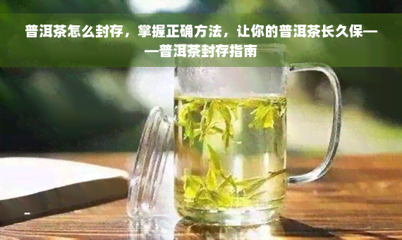 普洱茶怎么封存，掌握正确方法，让你的普洱茶长久保——普洱茶封存指南