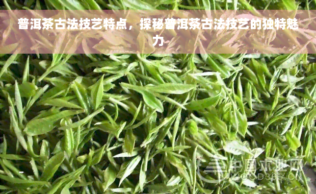 普洱茶古法技艺特点，探秘普洱茶古法技艺的独特魅力