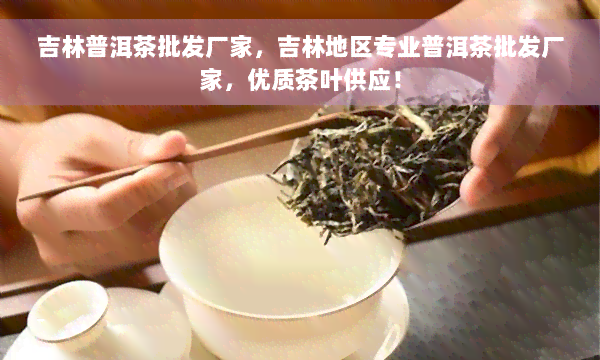 吉林普洱茶批发厂家，吉林地区专业普洱茶批发厂家，优质茶叶供应！