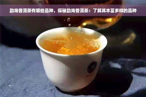 勐海普洱茶有哪些品种，探秘勐海普洱茶：了解其丰富多样的品种