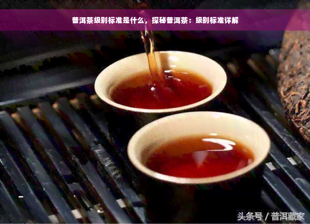 普洱茶级别标准是什么，探秘普洱茶：级别标准详解