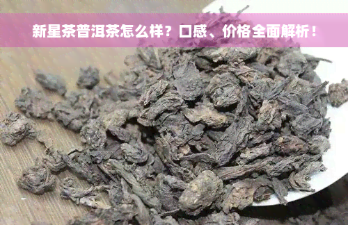 新星茶普洱茶怎么样？口感、价格全面解析！