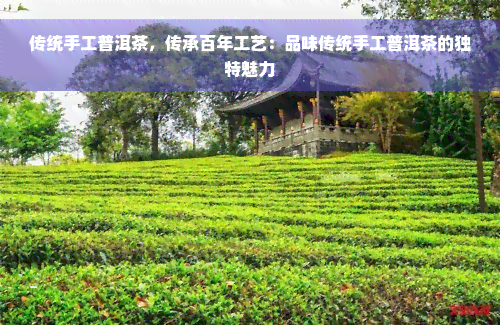 传统手工普洱茶，传承百年工艺：品味传统手工普洱茶的独特魅力