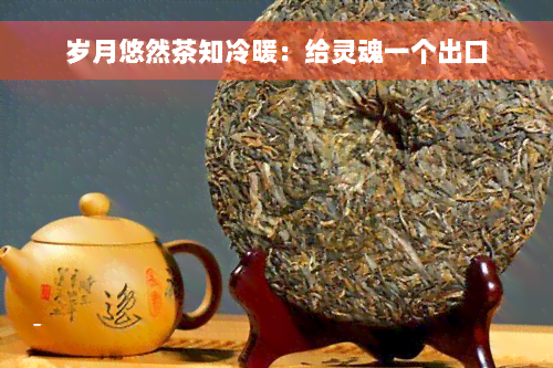 岁月悠然茶知冷暖：给灵魂一个出口