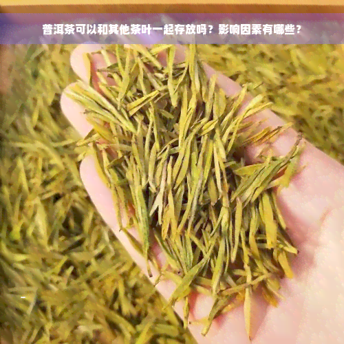 普洱茶可以和其他茶叶一起存放吗？影响因素有哪些？