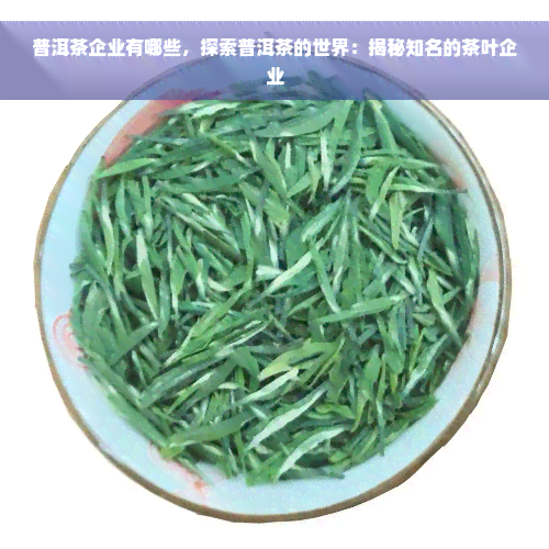 普洱茶企业有哪些，探索普洱茶的世界：揭秘知名的茶叶企业