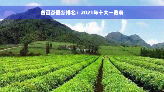 普洱茶最新排名：2021年十大一览表