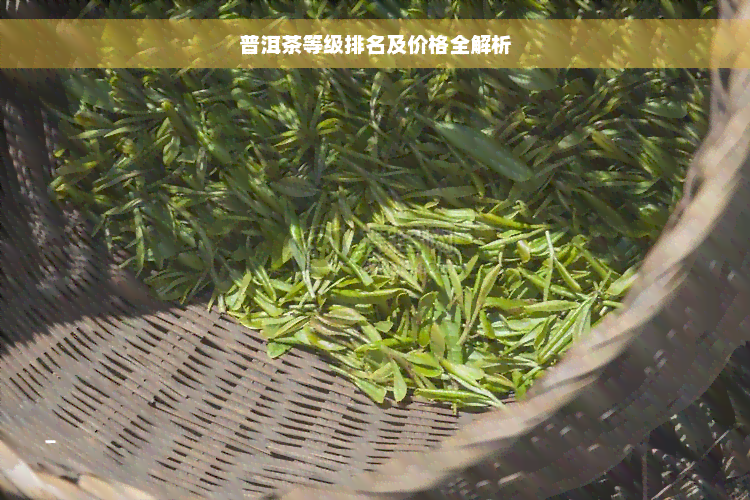 普洱茶等级排名及价格全解析