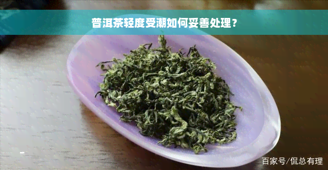 普洱茶轻度受潮如何妥善处理？