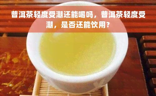 普洱茶轻度受潮还能喝吗，普洱茶轻度受潮，是否还能饮用？