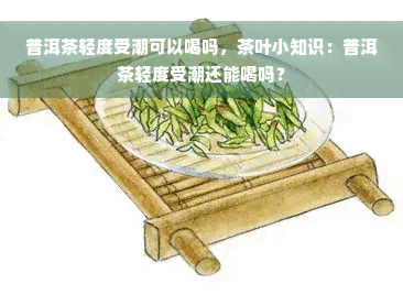 普洱茶轻度受潮可以喝吗，茶叶小知识：普洱茶轻度受潮还能喝吗？