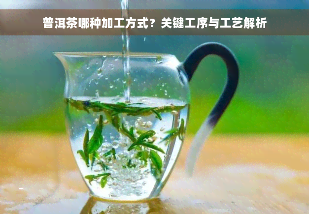 普洱茶哪种加工方式？关键工序与工艺解析