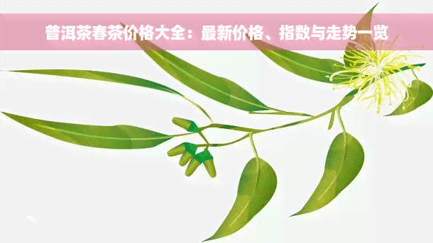 普洱茶春茶价格大全：最新价格、指数与走势一览