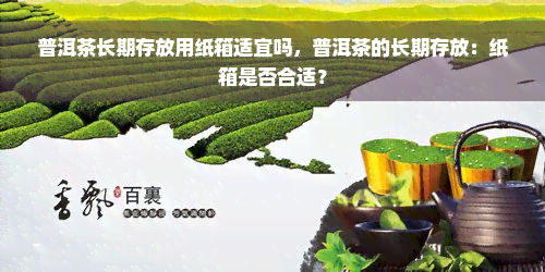 普洱茶长期存放用纸箱适宜吗，普洱茶的长期存放：纸箱是否合适？