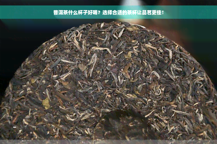 普洱茶什么杯子好喝？选择合适的茶杯让品茗更佳！