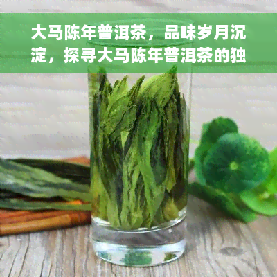 大马陈年普洱茶，品味岁月沉淀，探寻大马陈年普洱茶的独特韵味