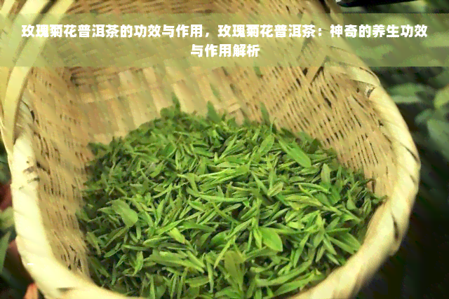 玫瑰菊花普洱茶的功效与作用，玫瑰菊花普洱茶：神奇的养生功效与作用解析