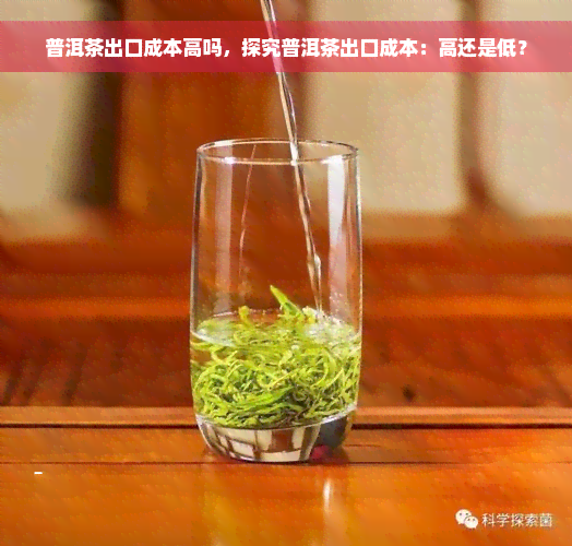 普洱茶出口成本高吗，探究普洱茶出口成本：高还是低？