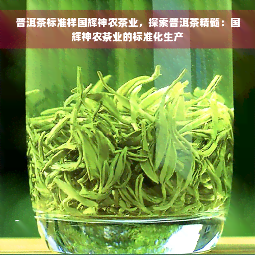 普洱茶标准样国辉神农茶业，探索普洱茶精髓：国辉神农茶业的标准化生产