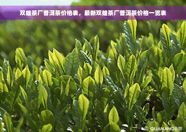 双雄茶厂普洱茶价格表，最新双雄茶厂普洱茶价格一览表