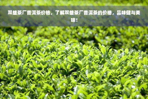 双雄茶厂普洱茶价格，了解双雄茶厂普洱茶的价格，品味健与美味！