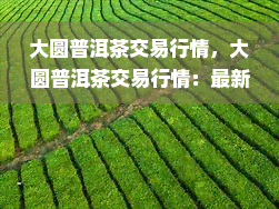 大圆普洱茶交易行情，大圆普洱茶交易行情：最新价格走势与市场分析