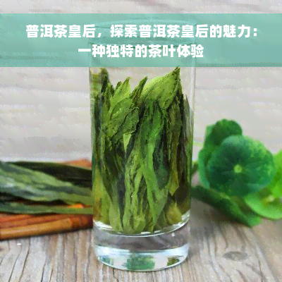 普洱茶皇后，探索普洱茶皇后的魅力：一种独特的茶叶体验