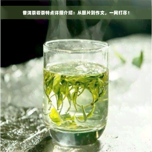 普洱茶岩茶特点详细介绍：从图片到作文，一网打尽！