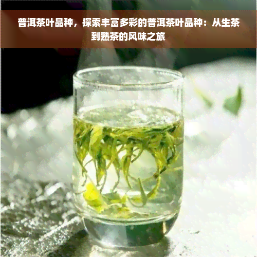 普洱茶叶品种，探索丰富多彩的普洱茶叶品种：从生茶到熟茶的风味之旅