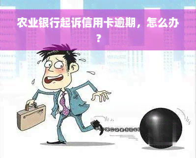 农业银行起诉信用卡逾期，怎么办？