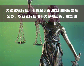 欠农业银行信用卡被起诉诉,收到法院传票怎么办，农业银行信用卡欠款被起诉，收到法院传票怎么处理？