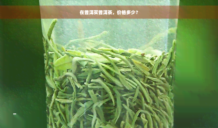 在普洱买普洱茶，价格多少？