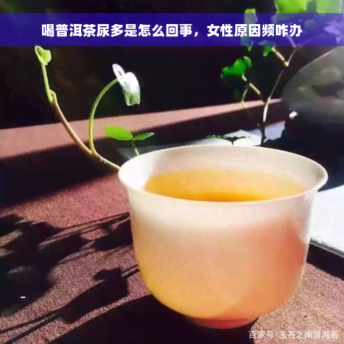 喝普洱茶尿多是怎么回事，女性原因频咋办