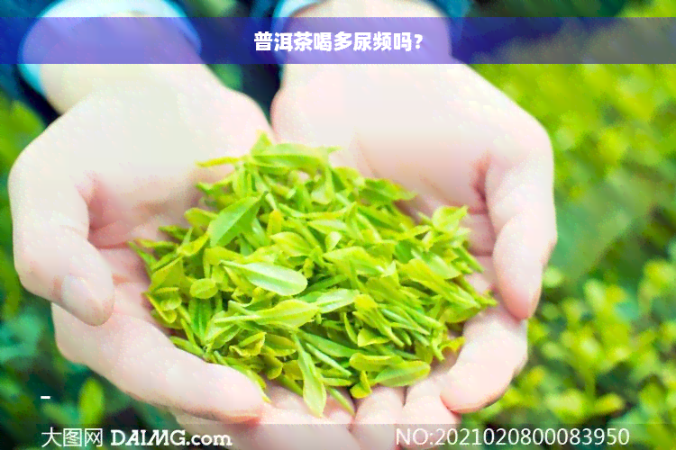 普洱茶喝多尿频吗？